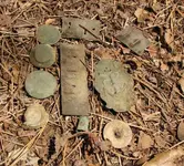 May3Site220finds.webp