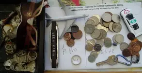 P1010003a.webp