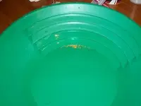 Picture 228.webp