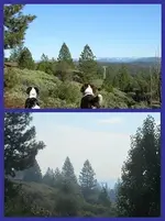 1209300_620083598024339_1556890_n.webp