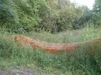 DSCF0005.webp
