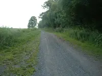 DSCF0003.webp