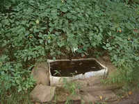 DSCF0007.webp