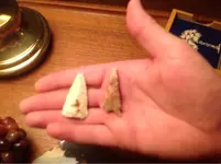 image-2919602671.webp