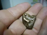 Copper_1.webp