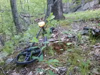 0514131239-01.webp