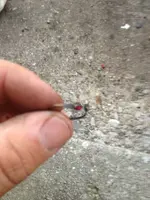 image-4235622793.webp