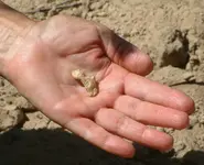 DSCF0028abc.webp