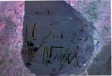 m 001.webp