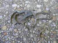 DSCF3322.webp