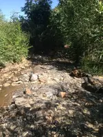 image-438560572.webp