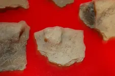 Feurt Site Finds (199).webp