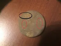 marked.webp