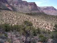 IntendedDestinationRidgeline.webp