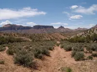 ShortSectionOfNiceTrail.webp