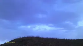IMAG1376.webp