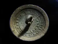 Pitt & Co. Stag's Head Livery button.webp