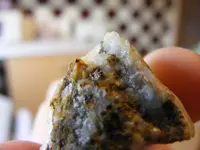 DSCF5784.webp