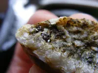 DSCF5792.webp