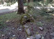001.webp