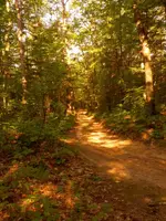 ForumRunner_20130826_180211.webp