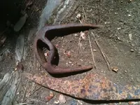 photo (2).webp