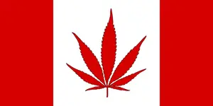 canadian-marijuana-flag.webp
