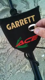 acering.webp