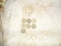 july2013 034.webp