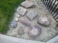 100_6676.webp