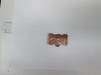 copper thing 2.webp