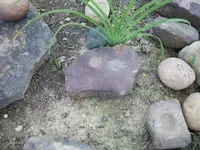 100_7042.webp