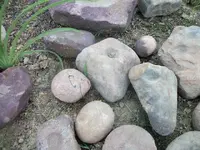 100_7044.webp