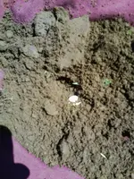 130810_0000.webp
