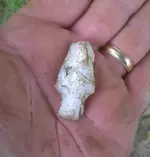 Arrowhead Hand.webp