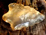 AAA Eric's Arrowhead.webp