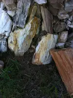 image-1768300446.webp