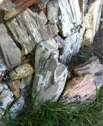 image-1642290939.webp