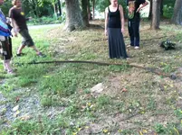 image-1648899785.webp