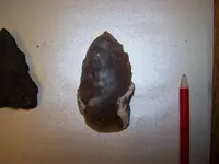 florida rocks 115.webp