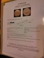 Authentic.webp