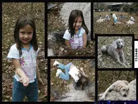 christmas_dig_2.webp