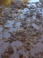 image-3495559782.webp