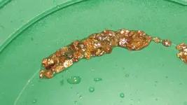 stuff in creek 021.webp