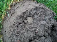 100_0977.webp