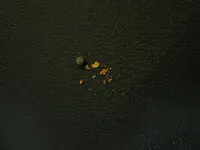 202_0217.webp