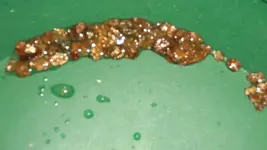 stuff in creek 022.webp