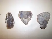 florida rocks 117.webp
