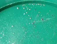 1 Bucket.webp
