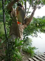 044[1].webp